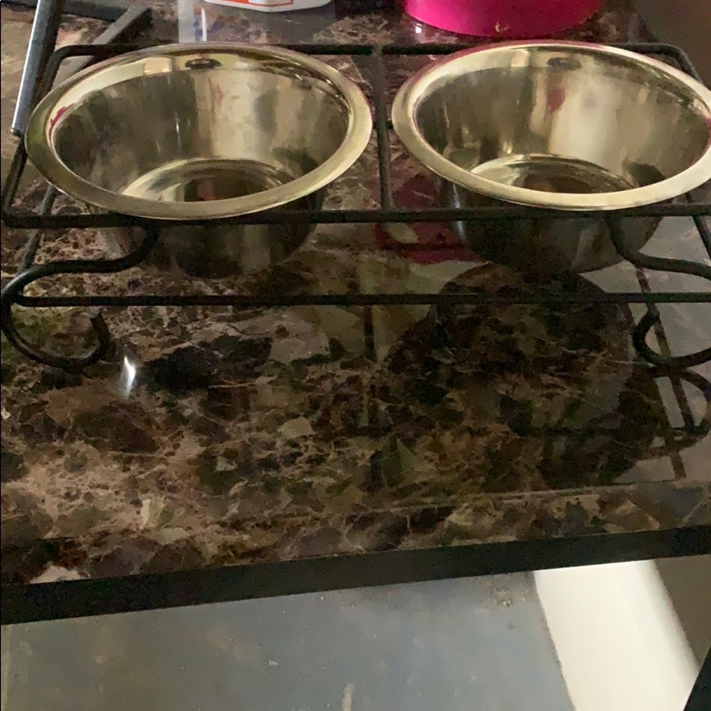 Cat feeder